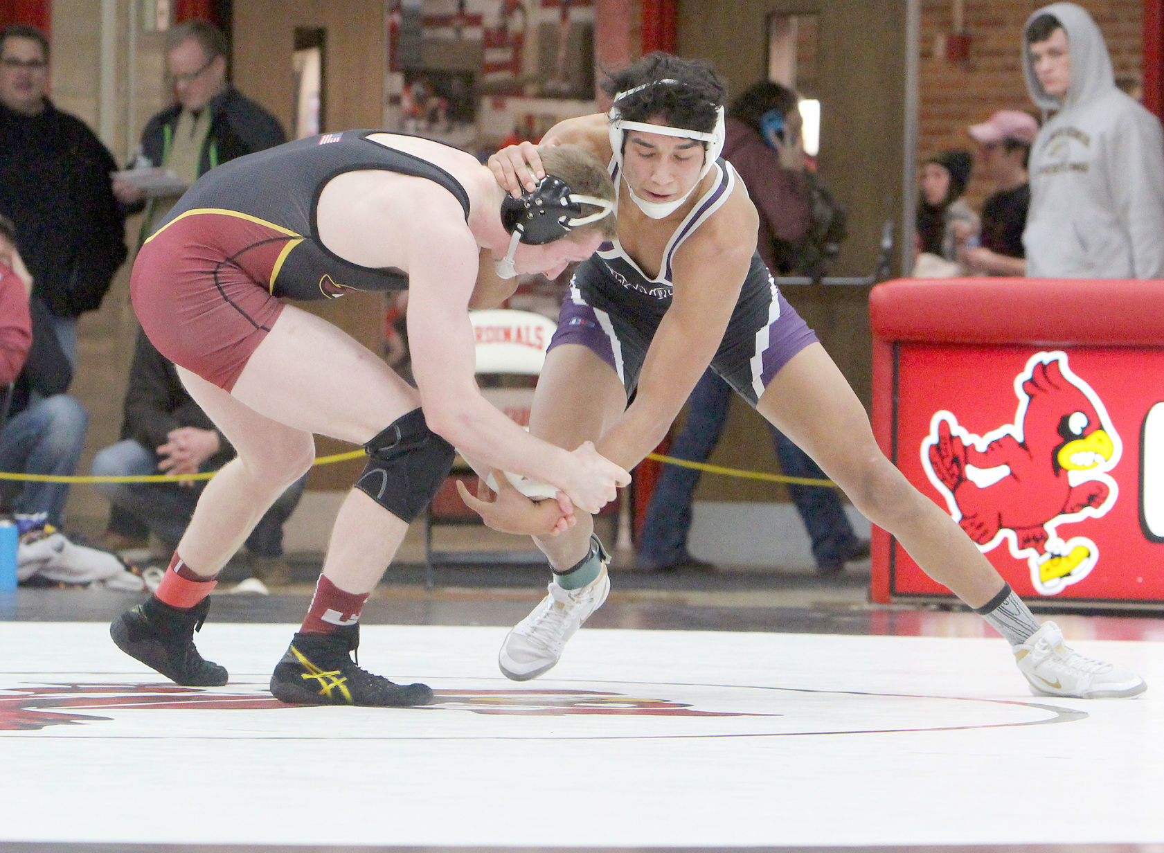 Division 1 wrestling regional at Chippewa Falls 2-9-19
